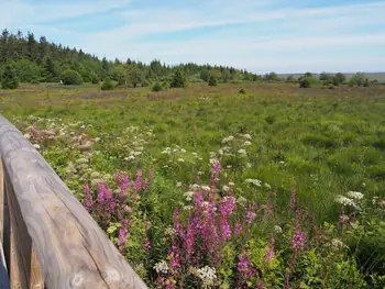 Signal de Botrange (België)